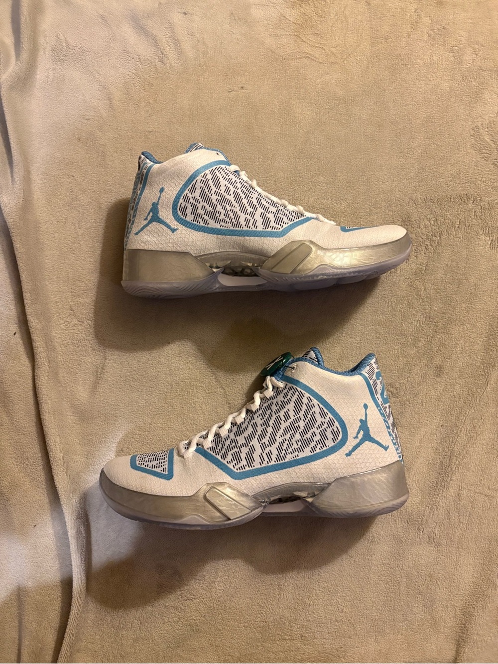 Air Jordan 29 ‘Pantone’